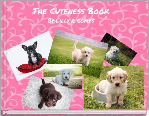 The Cuteness BookBy Lilly R Combs