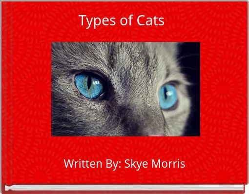 Types of Cats