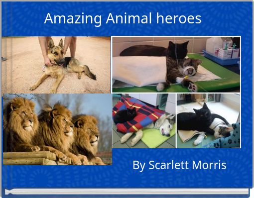 Amazing Animal heroes
