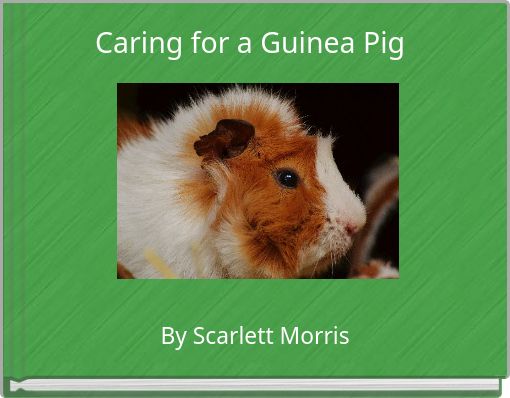 Caring for a Guinea Pig