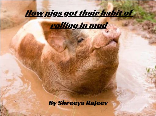 "How pigs got their habit of rolling in mud" - Free stories online