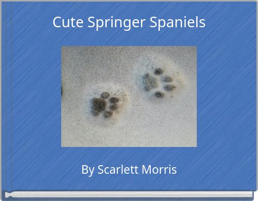 Cute Springer Spaniels