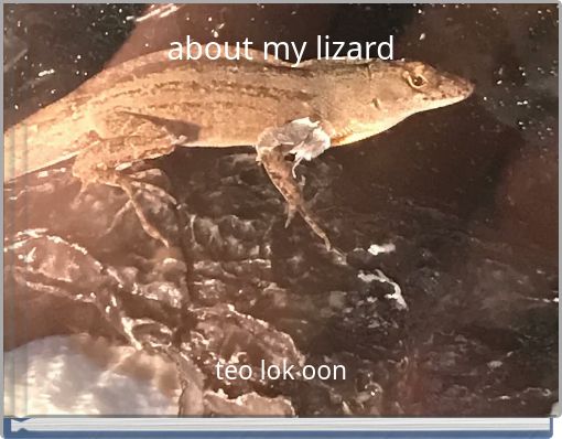about my lizard