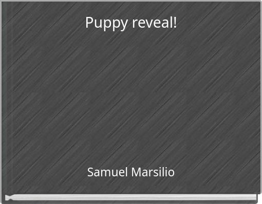 Puppy reveal!