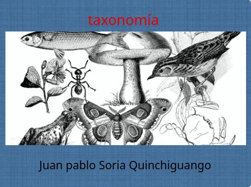 taxonomía 