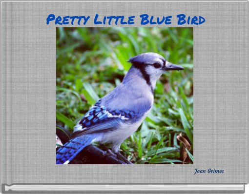 Pretty Little Blue Bird