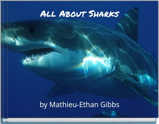 all about sharks