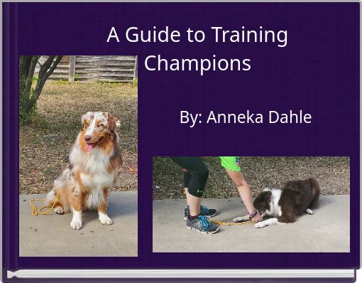A Guide to Training Champions