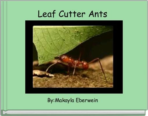 Leaf Cutter Ants 