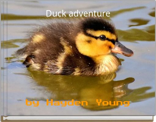 Duck adventure