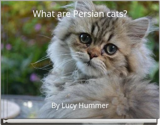 What are Persian cats?