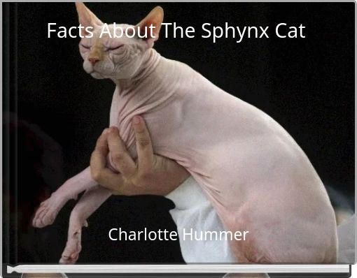 Facts About The Sphynx Cat