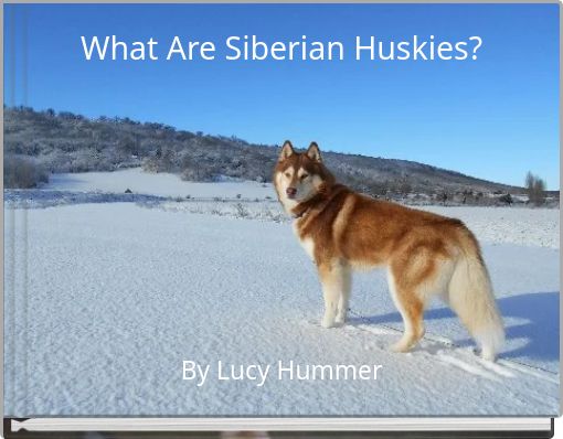 What Are Siberian Huskies?