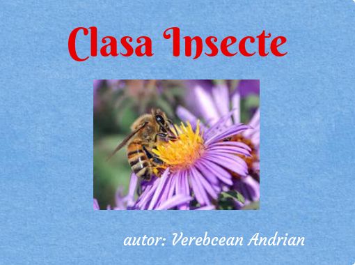 waste away Directly Modernization Clasa Insecte" - Free stories online. Create books for kids | StoryJumper