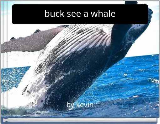 buck see a whale