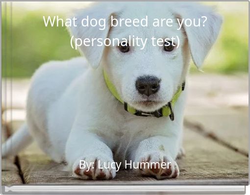 What dog breed are you? (personality test)