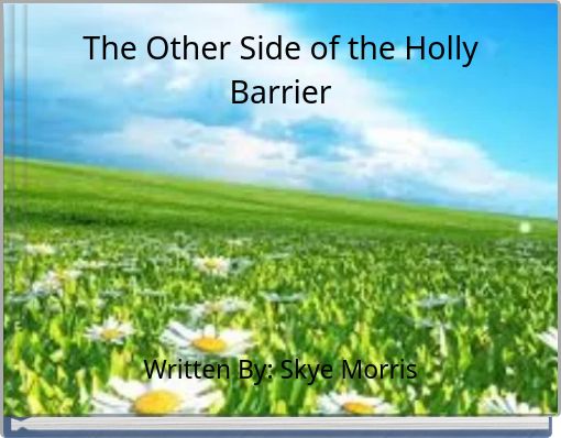 The Other Side of the Holly Barrier