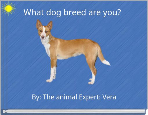 What dog breed are you?