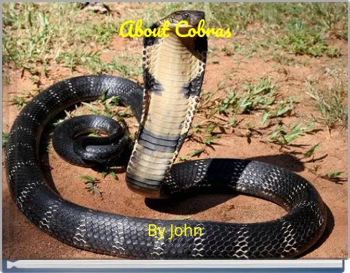 About Cobras