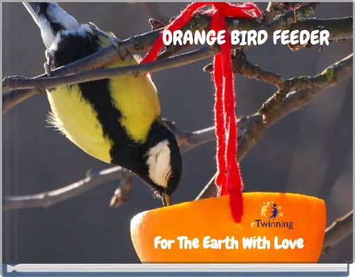 ORANGE BIRD FEEDER