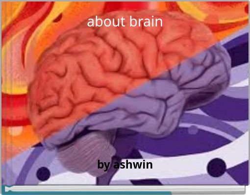 about brain
