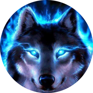 Photo of Blue Wolf
